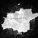 Without You (Avicii song)