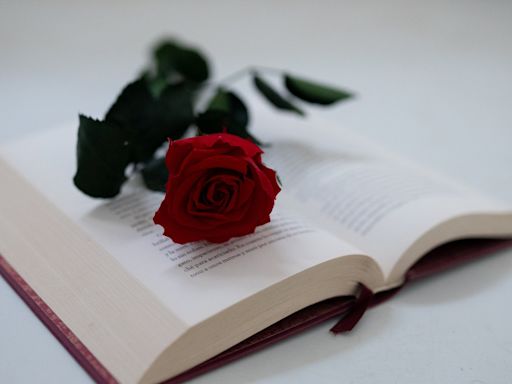 23 de abril, Día Internacional del Libro: ¿por qué se regala un libro y una rosa?