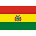 Selección de fútbol de Bolivia
