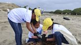 La basura, el enemigo que afecta a zonas de árboles aéreos en Ecuador