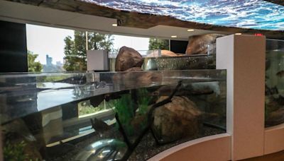 'It's a pretty exciting time': Great Lakes 360 exhibit opens at Aquarium of Niagara