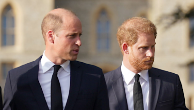 Prince William and Harry's "deep" rift faces new test