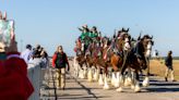 Budweiser Clydesdales coming to Nashville Zoo