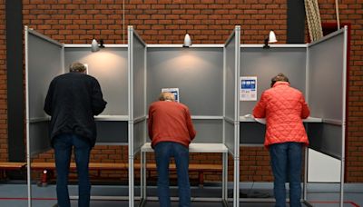 Europawahlen gehen mit Urnengang in Irland und Tschechien weiter