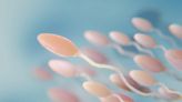 塑膠微粒入侵男性睪丸！最新研究：恐影響精子數量 - 自由健康網