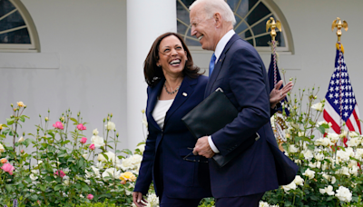 Kamala Harris And Dems' Big Task: 16 Million Voters, 107 Days, And A Roaring Trump