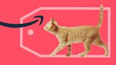 Best Deals on Pet Products From the Amazon Prime Sale