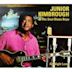 All Night Long (Junior Kimbrough album)