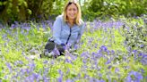 Glorious bluebell walk pulls in crowds after four-year break