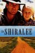 The Shiralee