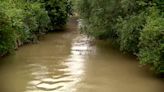 Contaminación persistente en los ríos europeos por plaguicidas