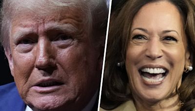 Trump struggling to keep up as Harris backers self-organize to help campaign