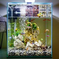 A small aquarium typically under 10 gallons in size. Can house a variety of fish and invertebrates, but requires careful attention to water quality. Popular species include shrimp, betta fish, and small tetras.