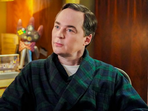 Big Bang Theory Fans On Reddit Want This Prequel After Young Sheldon - Looper