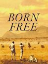 Born Free