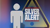 Silver Alert canceled after Bel Aire man found safe