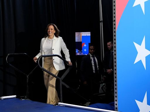 Kamala Harris slams protesters disrupting Detroit rally: ‘If you want Donald Trump to win, then say that’