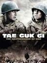 Taegukgi (film)