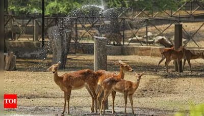 Delhi Zoo implements ayurvedic methods to safeguard animals during monsoon | India News - Times of India