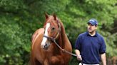 Justify Will Not Shuttle To Australia In 2024, Will Cover Mares On Southern Hemisphere Time