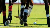 Copa República: La Natividad y Venado Tuerto definen al 1º finalista, en vivo por ESPNPolo.com