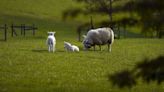 Call to boost agriculture budget to ‘value’ food security amid fears of cuts