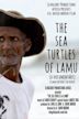 The Sea Turtles of Lamu