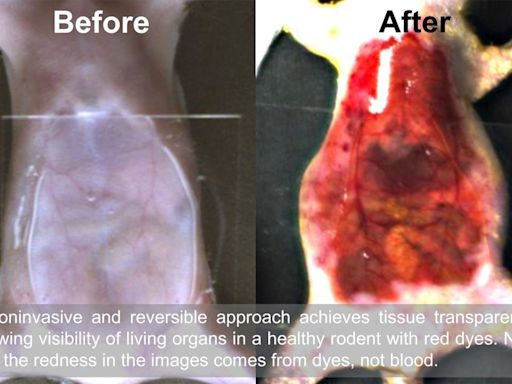 Scientific discovery that turns mouse skin transparent echoes plot of H.G. Wells’ ‘The Invisible Man’