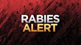 Health District issues warning after stray kitten tests positive for rabies in Campbell County