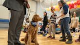 Clifton schools throw a first birthday party for Chewie the therapy dog