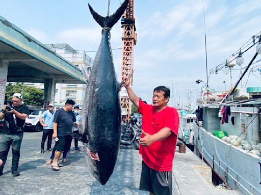 「安穩發8號」捕獲2024屏東第一鮪 21日上午9點熱鬧拍賣 | 蕃新聞