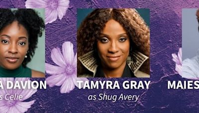 Pittsburgh CLO Announces Casting for THE COLOR PURPLE Beginning This Month At The Benedum Center