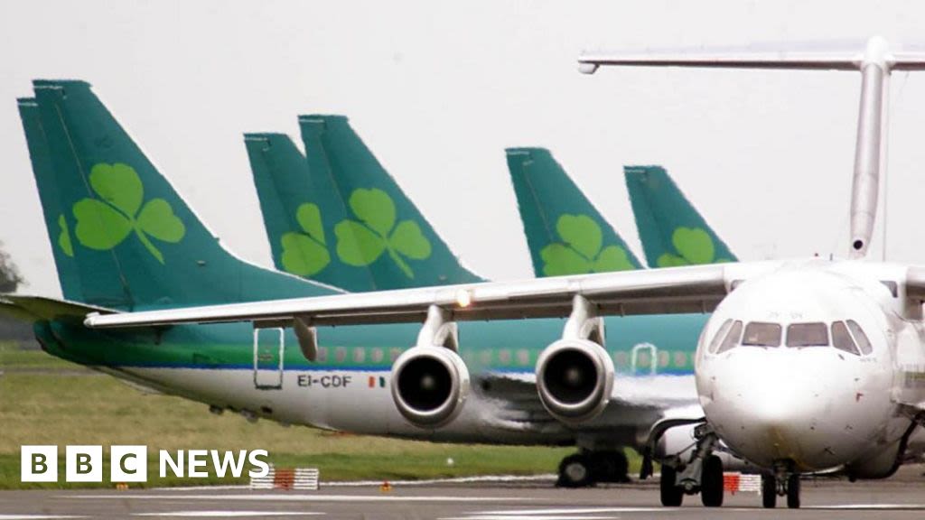 Aer Lingus pilots' industrial action will disrupt flights