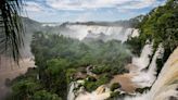Misiones: las Cataratas del Iguazú son la estrella, pero hay mucha más selva, ríos y animales salvajes
