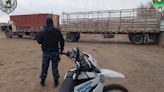 Un camión fue retenido por falta de documentación en Roca: secuestraron terneros, toros y vacas - Diario Río Negro