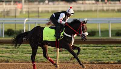 Grand Mo the First jockey, trainer, odds and more to know about Kentucky Derby 2024 horse