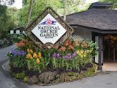 National Orchid Garden