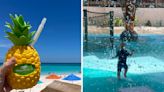 My Son And I Went To Disney's New Cruise Destination, Lookout Cay, And Here Were The Positives And ...