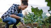 Costco Shoppers Are Loving This Cute, Affordable Greenhouse