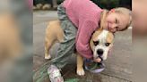 BOBS From Skechers Donates Over $11 Million To Help Animals Like Biggie And His Best Friend