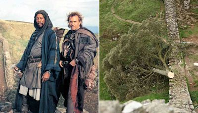 2 Men Charged with Chopping Down Iconic Sycamore Tree Featured in Kevin Costner's “Robin Hood ”Film