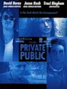 The Private Public