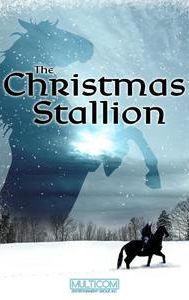 The Christmas Stallion