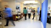 Nursing and Midwifery Council: 'Dysfunctional' culture at nursing regulator where staff suffer 'bullying, racism and burnout', report says