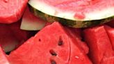 Meet exotic animals and learn about wildlife with Cool Zoo at Clay County’s Watermelon Fest