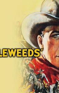 Tumbleweeds