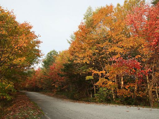 When is the first day of fall? All about the 2024 autumnal equinox