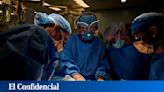 Fallece el paciente que recibió el primer trasplante de riñón de cerdo en Nueva York