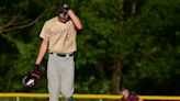 Whitehall baseball’s season closes with 10-run defeat in PIAA 5A quarterfinals