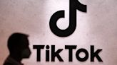 A glimpse at an alternative TikTok